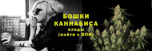 эйфоретик Гусь-Хрустальный