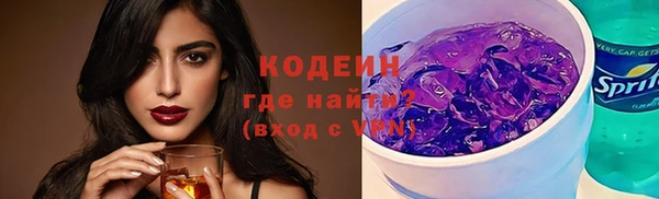 эйфоретик Гусь-Хрустальный