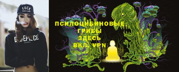 тгк Тайга