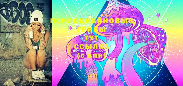 эйфоретик Гусь-Хрустальный