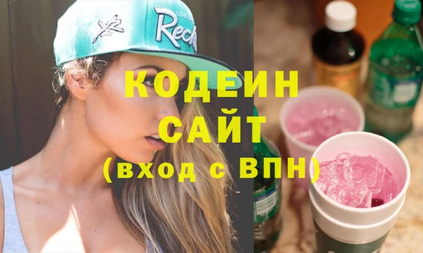 эйфоретик Гусь-Хрустальный