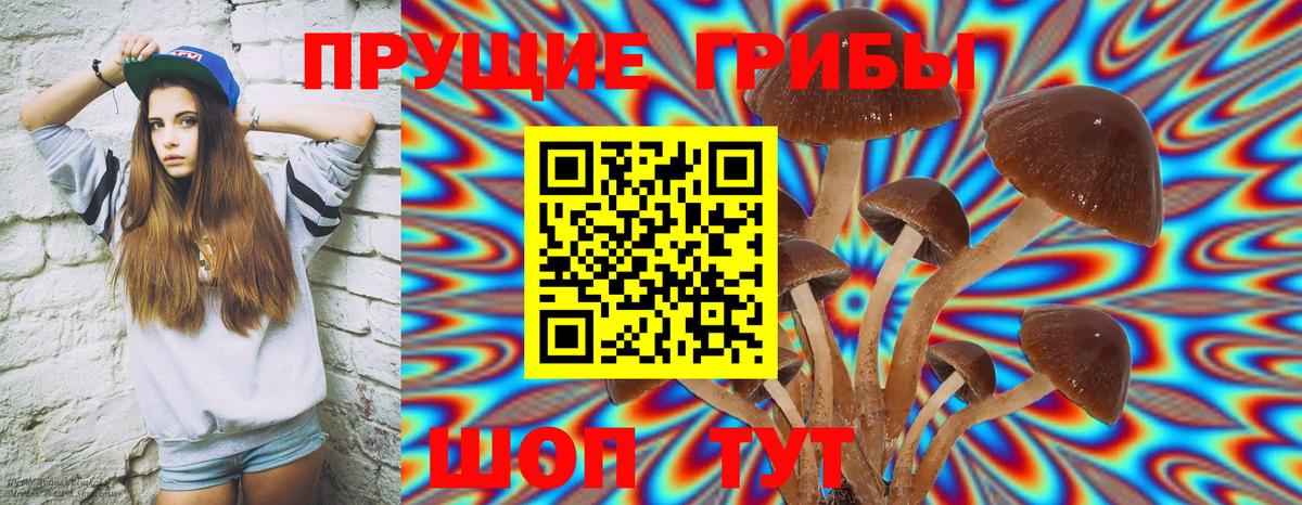 Чебаркуль  Галлюциногенные грибы Psilocybine cubensis  закладка  Псилоцибиновые грибы ЛСД  Вход с VPN 